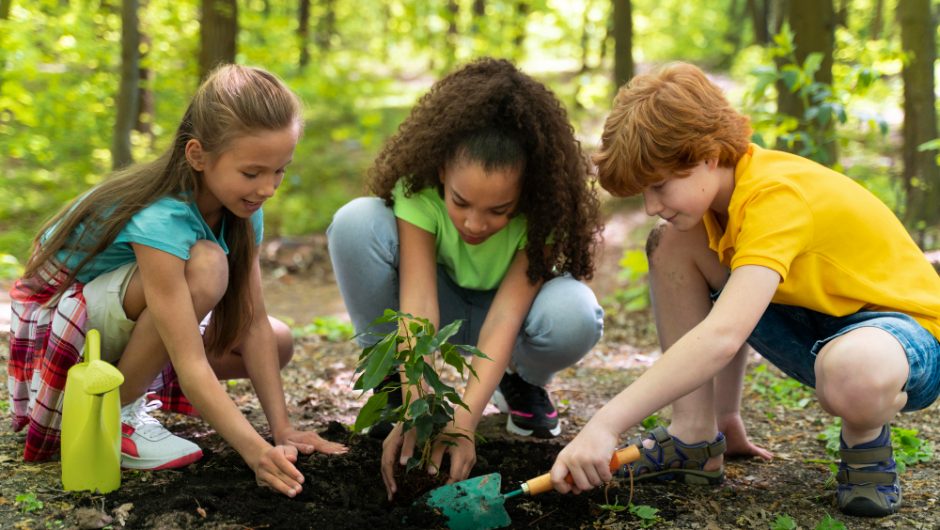 Educația ecologică pentru adolescenți