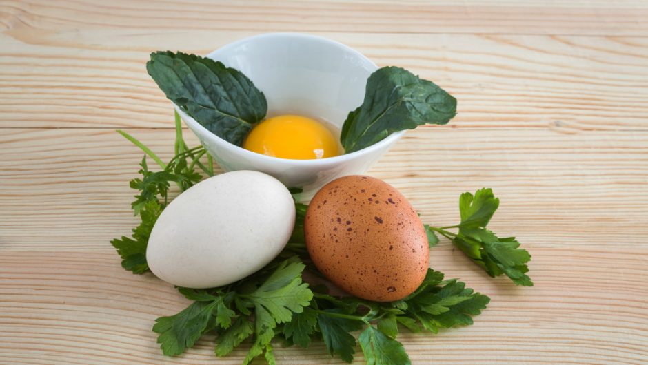 Oul de rață, alimentul ideal pentru creșterea masei musculare