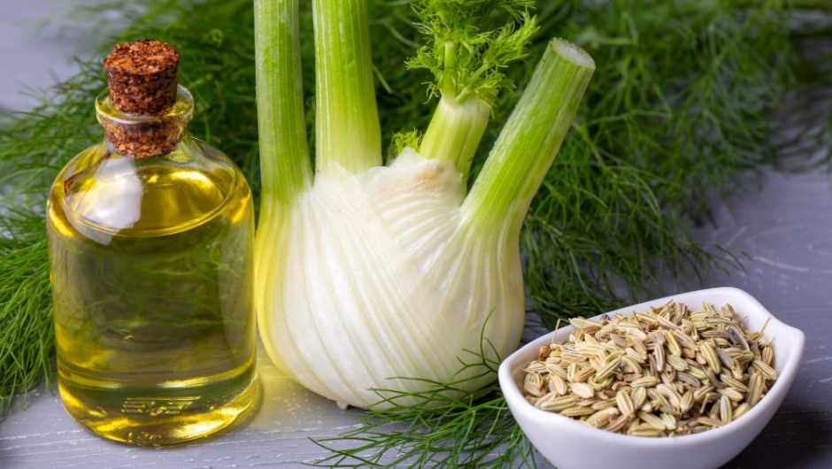 Uleiul de armurariu: Detoxifiantul natural pentru ficat și sănătatea cardiovasculară