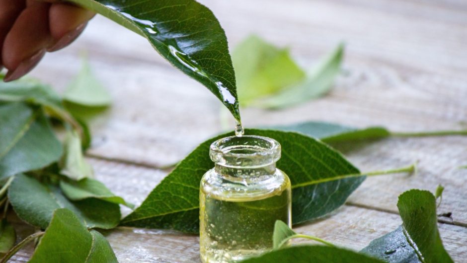 Tinctura de nuci verzi: Elixir natural pentru sănătatea ta