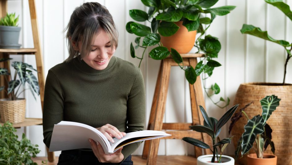 Colț de lectură liniștitor cu plantă și lumină naturală