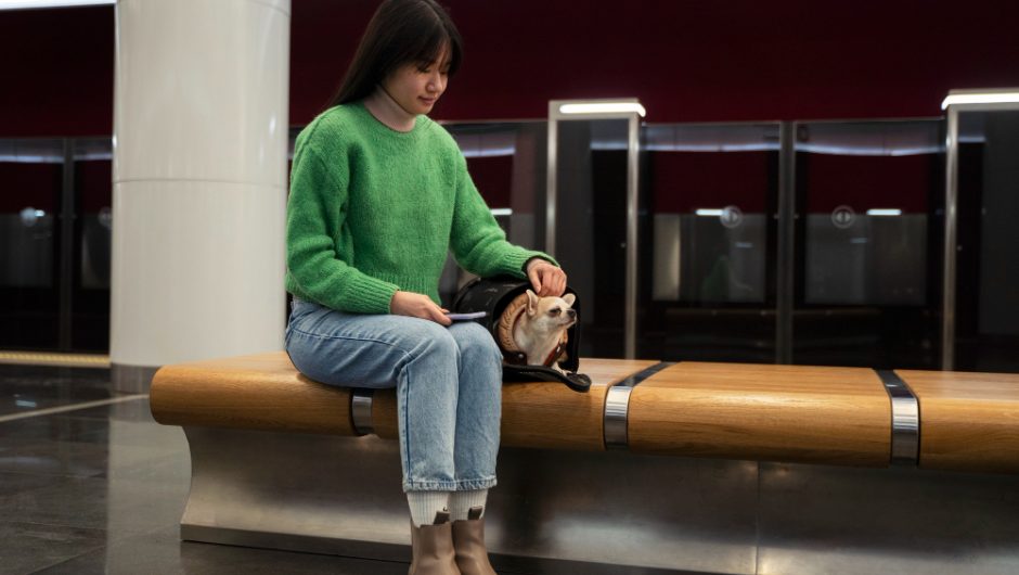 Bancă pliabilă cu senzor de umbră și udare automată