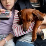 Prizele cu protecție suplimentară reduc riscurile în casele cu copii sau animale